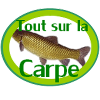 Logo du site carpe-amour.com