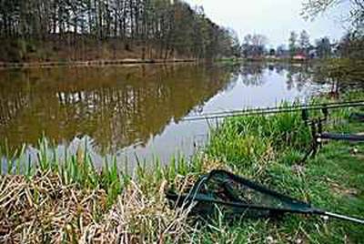 Illustration des zones clés pour pêcher la carpe en étang : bordures, herbiers, hauts-fonds
